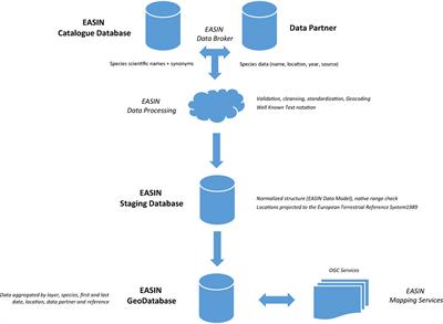 Handling Big Data of Alien Species in Europe: The European Alien Species Information Network Geodatabase